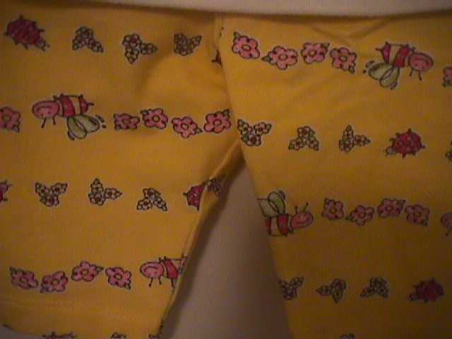 bee-pants-closeup.jpg
